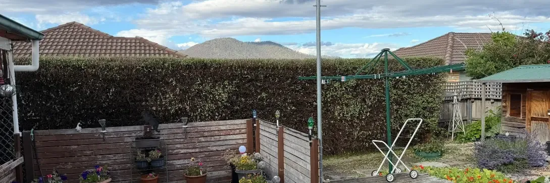 Hedge trimming & pruning