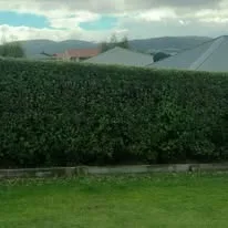 LawnCraft Tasmania landscaping project 5 in Tasmania