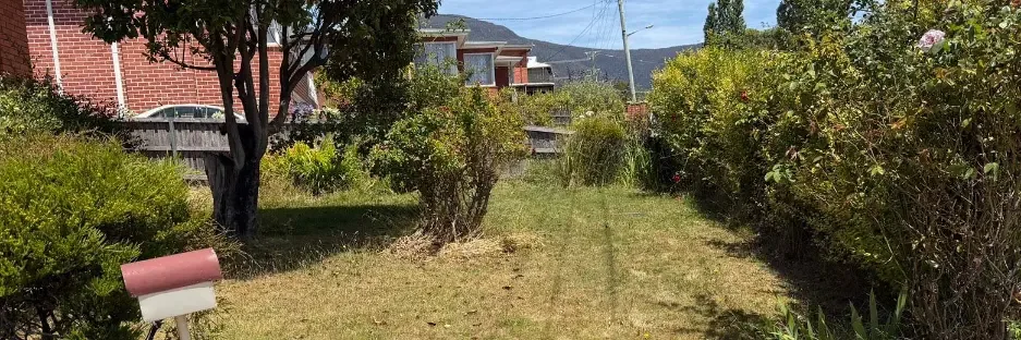 Property clean-ups